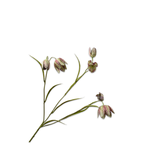 Silk-Ka FRITILLARIA TAK GROEN 64 cm