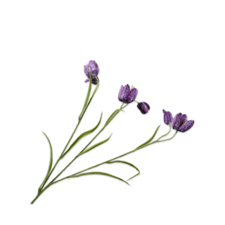 Silk-Ka FRITILLARIA TAK PAARS 64 cm