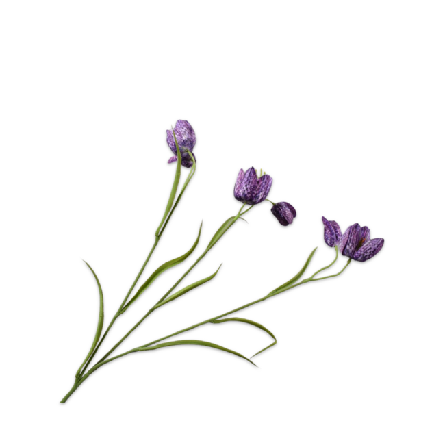 Silk-Ka FRITILLARIA TAK PAARS 64 cm