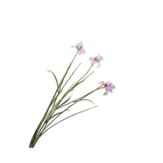 Silk-Ka IRIS TAK LAV/CR 71 cm