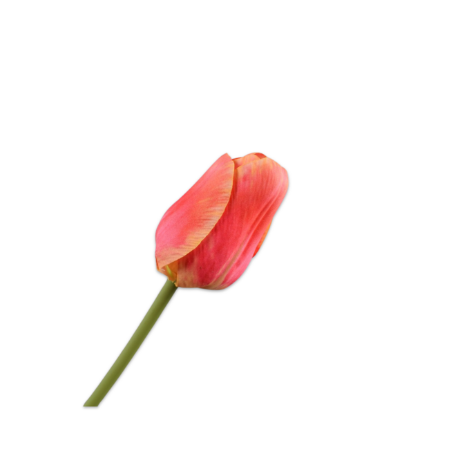 Silk-Ka TULP STEEL ORA/GL 64 cm