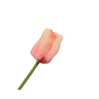 Silk-Ka TULP STEEL PERZIK 64 cm