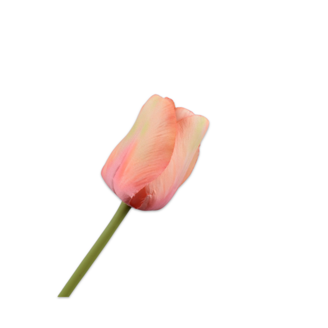 Silk-Ka TULP STEEL PERZIK 64 cm