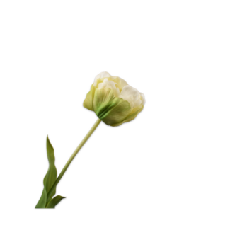 Silk-Ka TULP STEEL GRN/WIT 66 cm