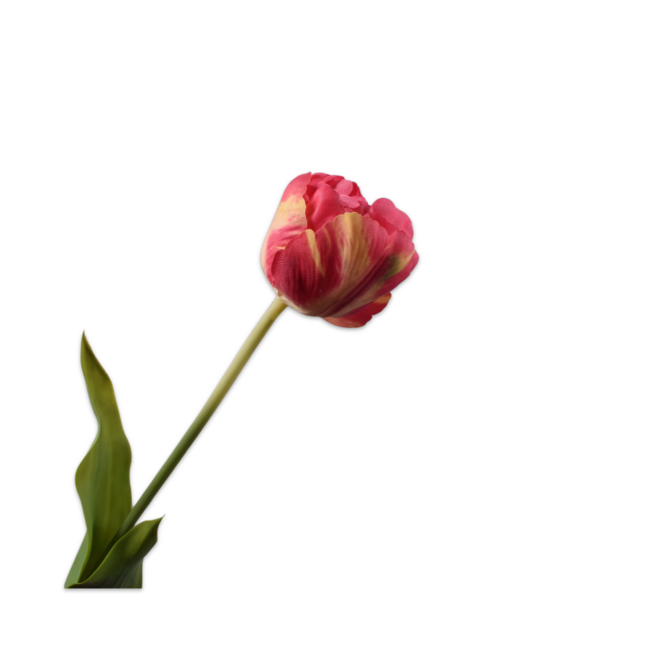 Silk-Ka TULP STEEL BEAUTY 66 cm