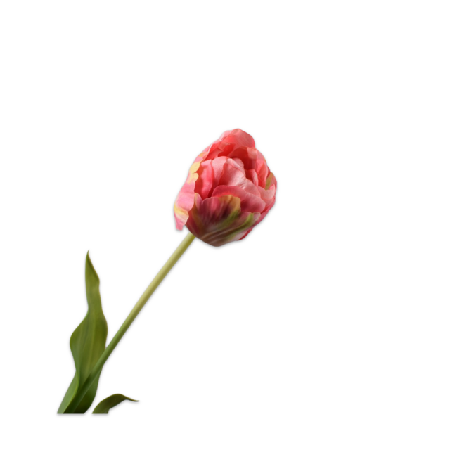 Silk-Ka TULP STEEL ROZ/GL 66 cm