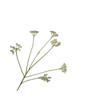 Silk-Ka DILLE TAK GROEN 66 cm