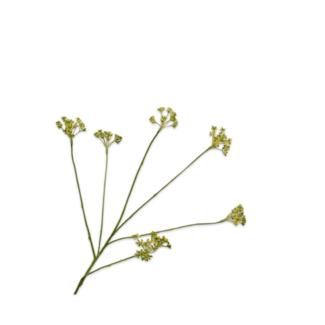 Silk-Ka DILLE TAK GEEL 66 cm