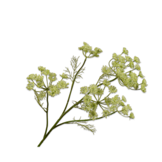 Silk-Ka DILLE TAK GROEN 79 cm