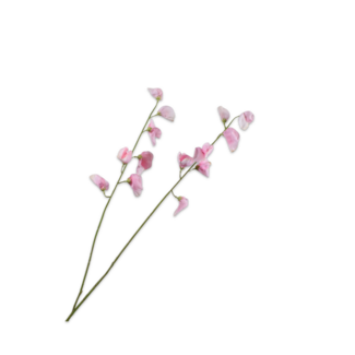 Silk-Ka LATHYRUS TAK ROZE LT RT 89 cm