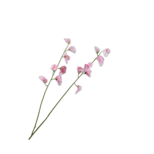 Silk-Ka LATHYRUS TAK ROZE LT RT 89 cm