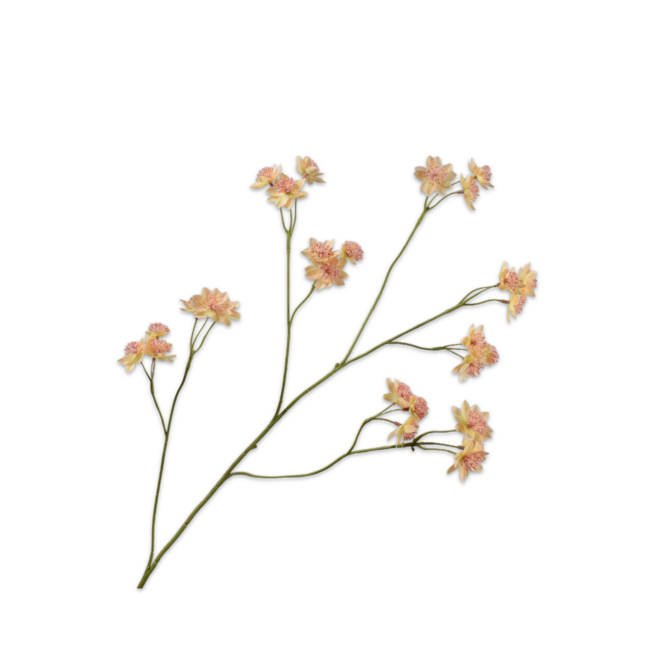 Silk-Ka ASTRANTIA TAK PERZIK 95 cm