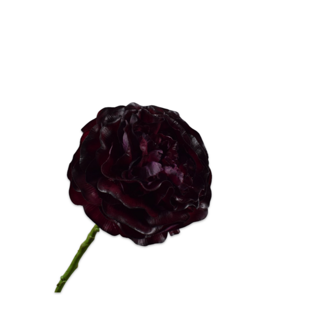 Silk-Ka RANONKEL STEEL BORDEAUX RT 62 cm