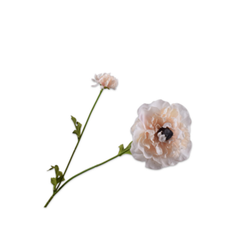 Silk-Ka RANONKEL TAK CREME RT 63 cm