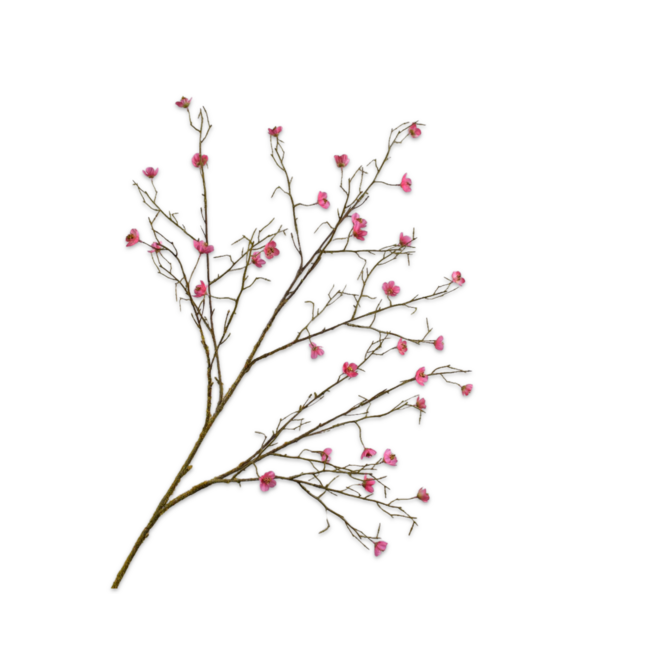 Silk-Ka BLOESEM TAK BEAUTY 107 cm