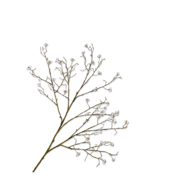 Silk-Ka BLOESEM TAK WIT 107 cm