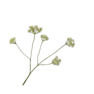 Silk-Ka DILLE TAK CREME 83 cm