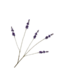 Silk-Ka LAVENDEL TAK PAARS 85 cm