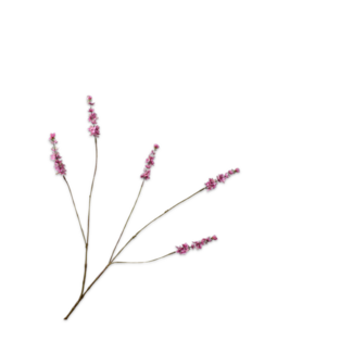 Silk-Ka LAVENDEL TAK ROZE 85 cm