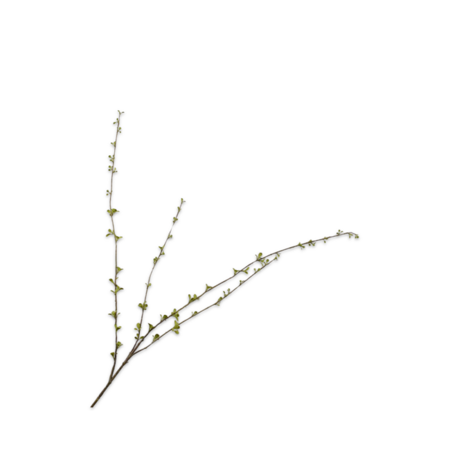 Silk-Ka AMELANCHIER TAK GROEN 121 cm