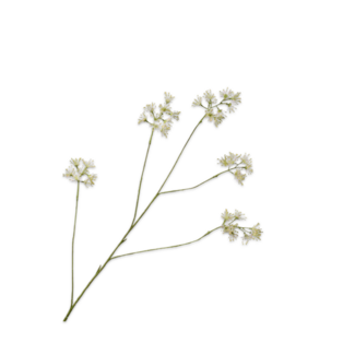 Silk-Ka ARALIA TAK WIT 111 cm Silk-Ka ARALIA TAK WIT 111 cm