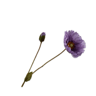 Silk-Ka KLAPROOS TAK LAVEND 74 cm Silk-Ka KLAPROOS TAK LAVEND 74 cm