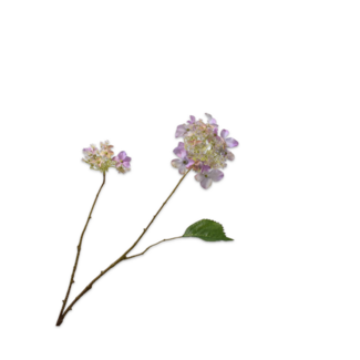 Silk-Ka HORTENSIA TAK LAVEND RT 71 cm Silk-Ka HORTENSIA TAK LAVEND RT 71 cm