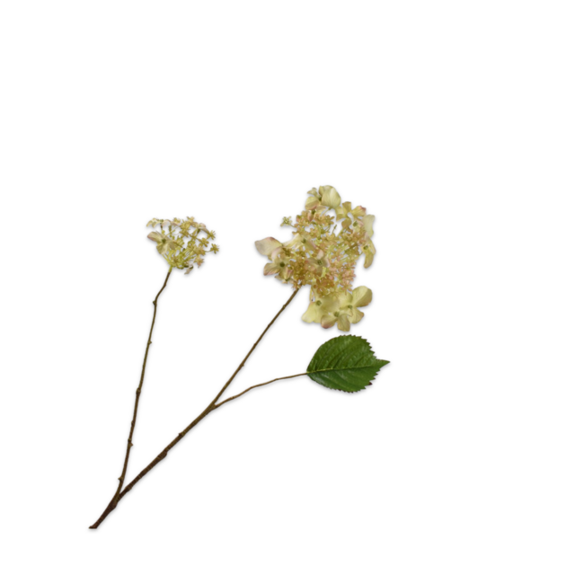 Silk-Ka HORTENSIA TAK GRN LT RT 71 cm