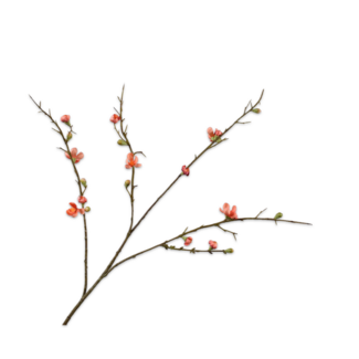 Silk-Ka BLOESEM TAK ZALM 85 cm Silk-Ka BLOESEM TAK ZALM 85 cm