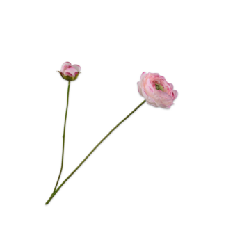 Silk-Ka RANONKEL TAK CR/ROZ 64 cm Silk-Ka RANONKEL TAK CR/ROZ 64 cm