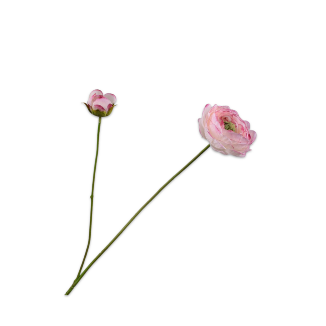 Silk-Ka RANONKEL TAK CR/ROZ 64 cm