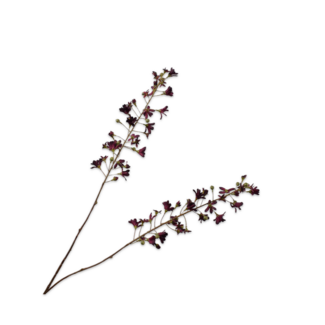 Silk-Ka HYACINT TAK BORDEAUX 111 cm