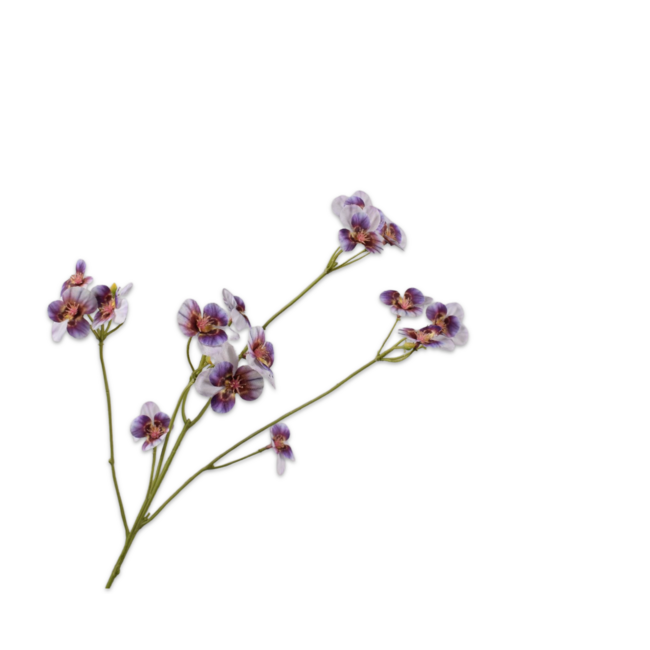 Silk-Ka VIOOL TAK LL/PRS 62 cm