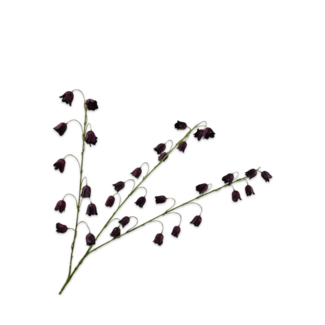 Silk-Ka FRITILLARIA TAK BORDEAUX 97 cm