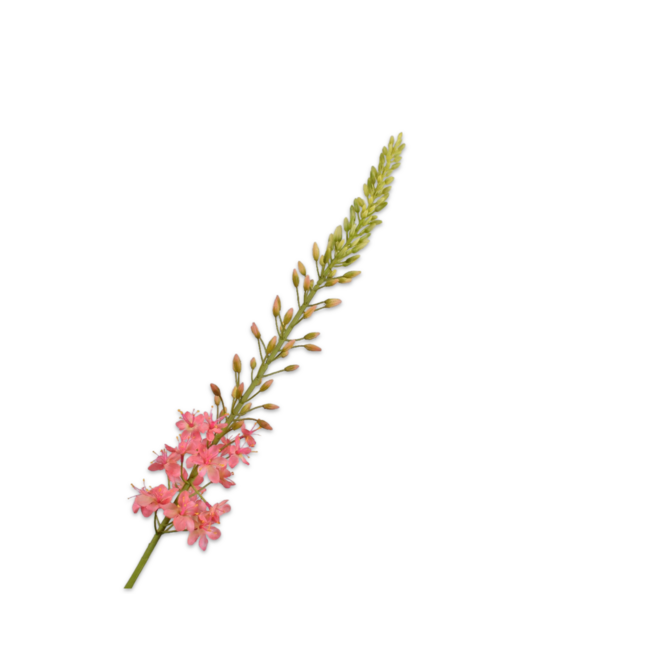 Silk-Ka EREMURUS STEEL ROZE 107 cm