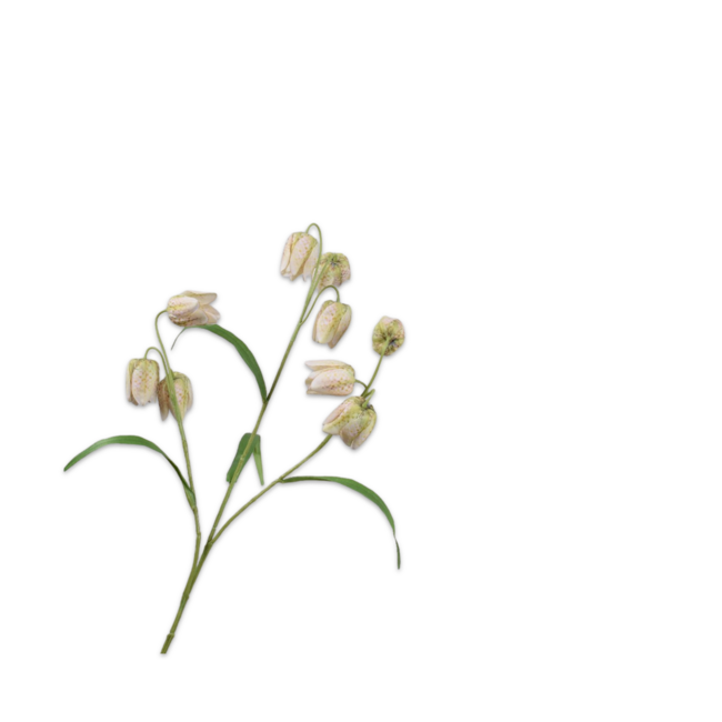 Silk-Ka FRITILLARIA TAK CR/GRN 70 cm