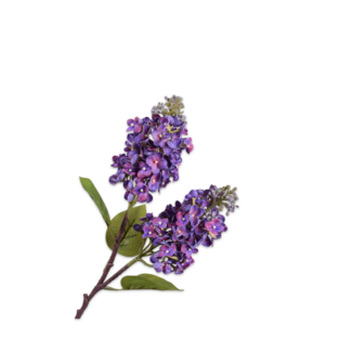 Silk-Ka SERING TAK PAARS 67 cm