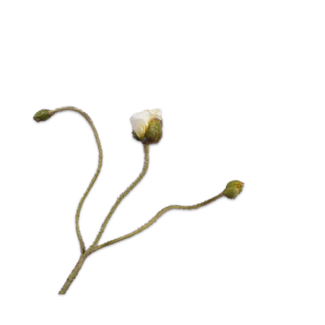 Silk-Ka KLAPROOS STEEL GEEL LT 82 cm