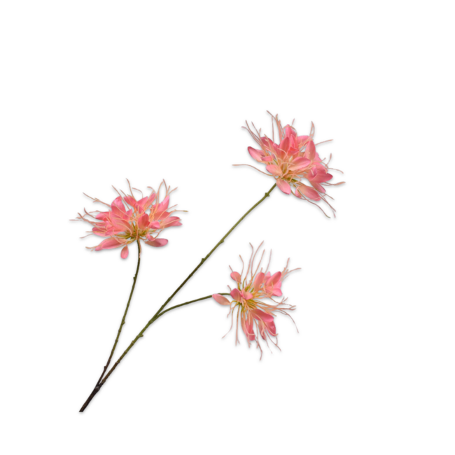 Silk-Ka KAMPERFOELIE TAK PERZIK 94 cm