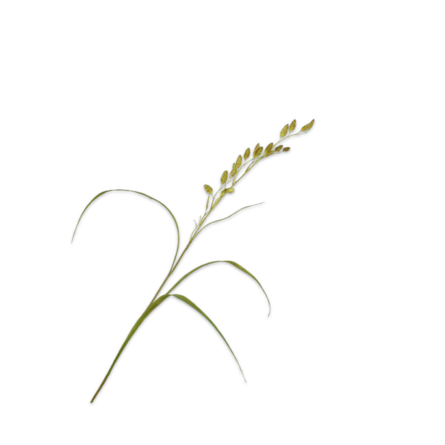 Silk-Ka GRAS TAK GROEN 108 cm