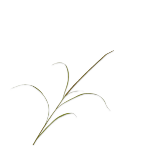 Silk-Ka GRAS TAK GROEN 130 cm