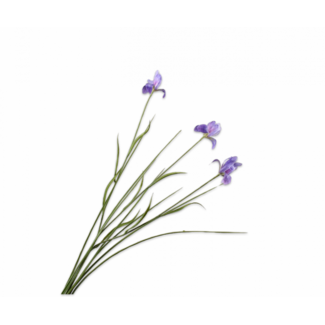 Silk-Ka IRIS TAK LAVENDEL 71 cm