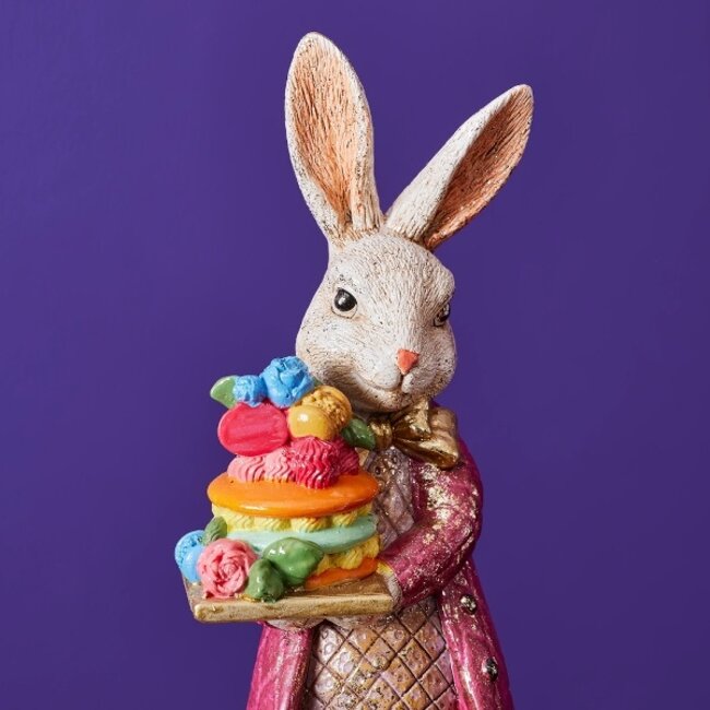 Rabbit with macaron