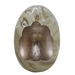 Colmore Decorative egg WILLOW Ø30x41cm mixed taupe