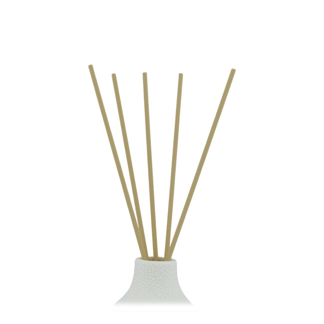 Home Society Aroma Verstuiver Sticks Set 5