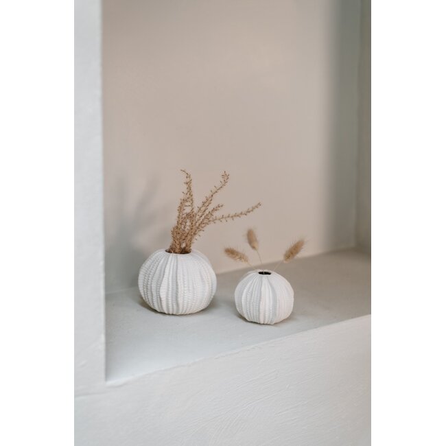 Home Society Vaas Sea Urchin L