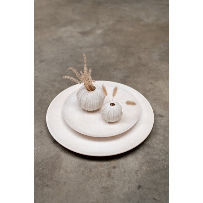 Home Society Vaas Sea Urchin S