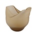 Home Society Vaas Posh