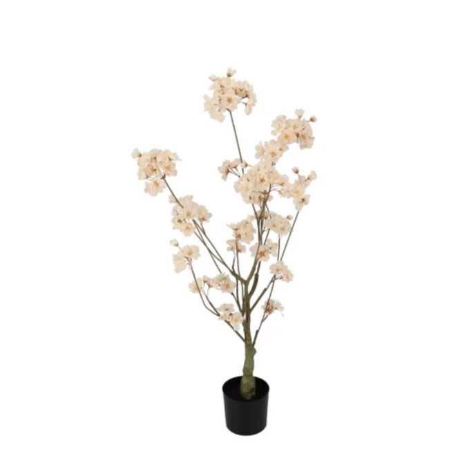 Silk cherry blossom tree champagne 90cm