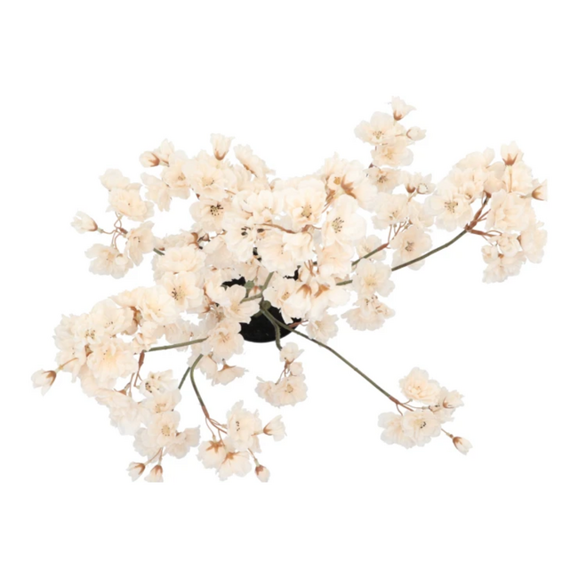 Silk cherry blossom tree champagne 90cm